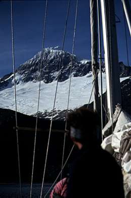 {short description of image}