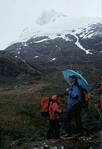 {short description of image}